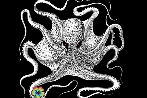 Kraken рабочее зеркало