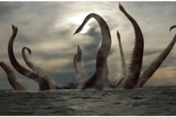 Kraken official