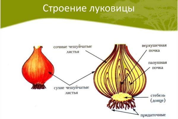 Кракен сайт что