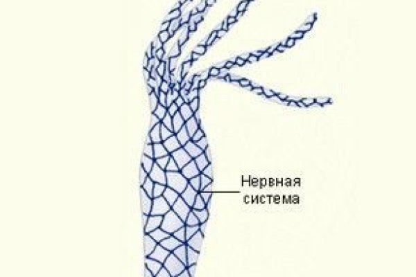 Даркнет официальный сайт на русском