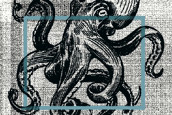Kraken что это за сайт