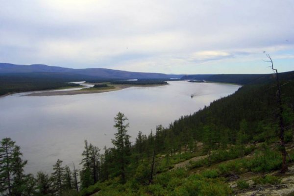 Даркнет заказ
