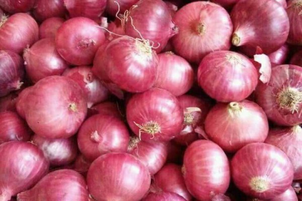 Кракен ссылка onion