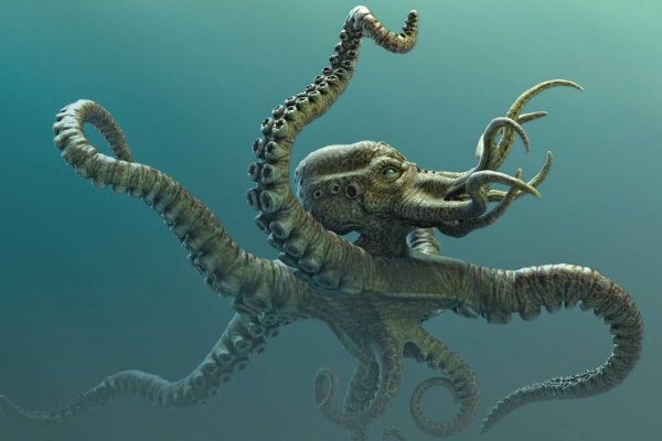 Kraken market ссылка