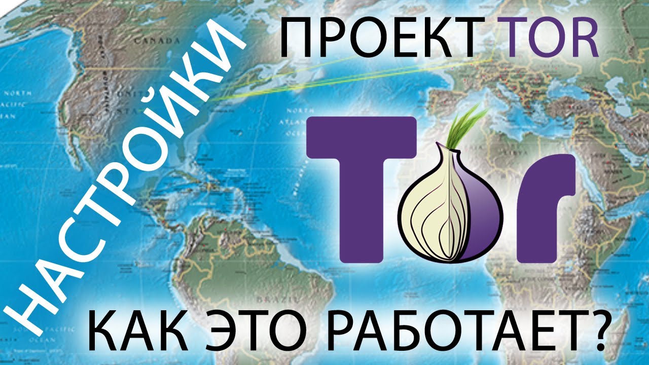 Кракен шеринг