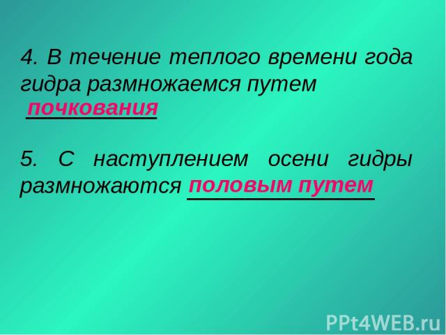Кракен тор ссылка онлайн